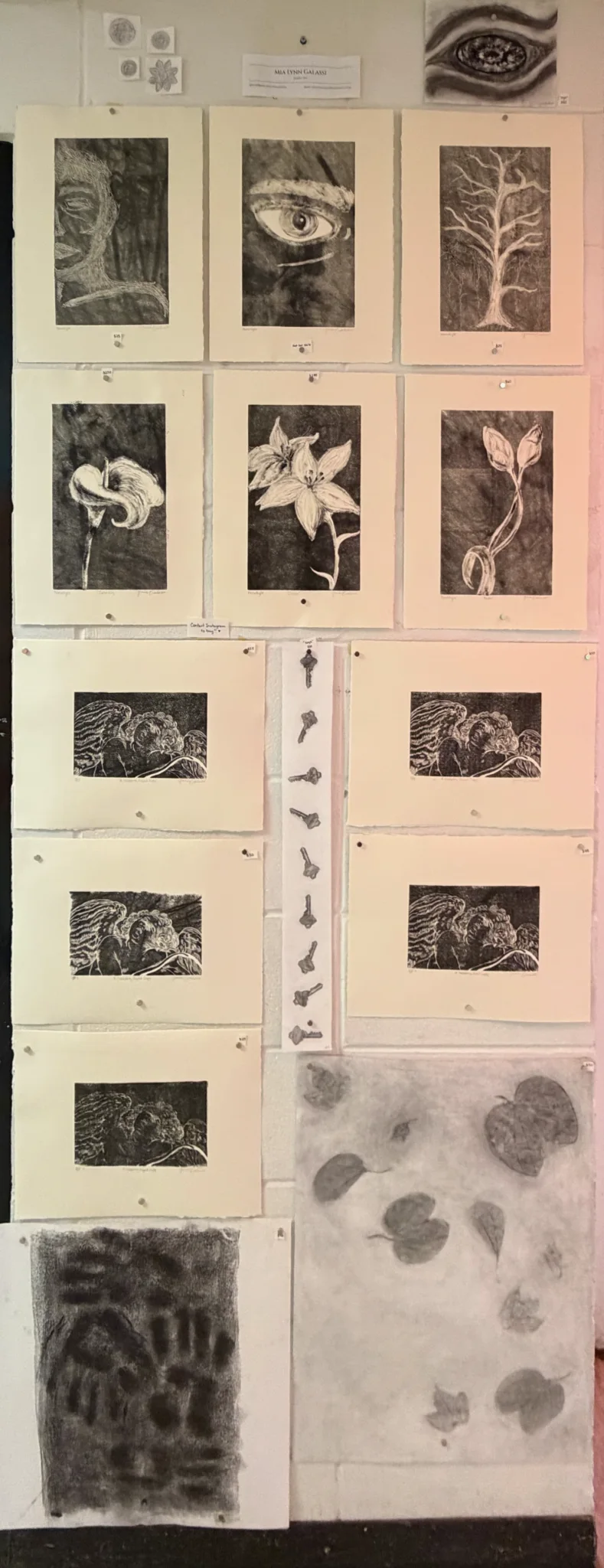 Mia Lynn Galassi’s prints and drawings pinned to a display wall at ArtHouse at the University of South Florida