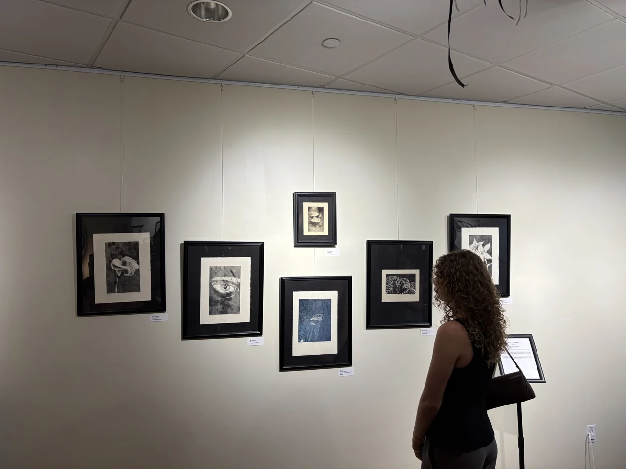 A visitor looking at framed prints in the In the Press exhibition at USF's Centre Gallery