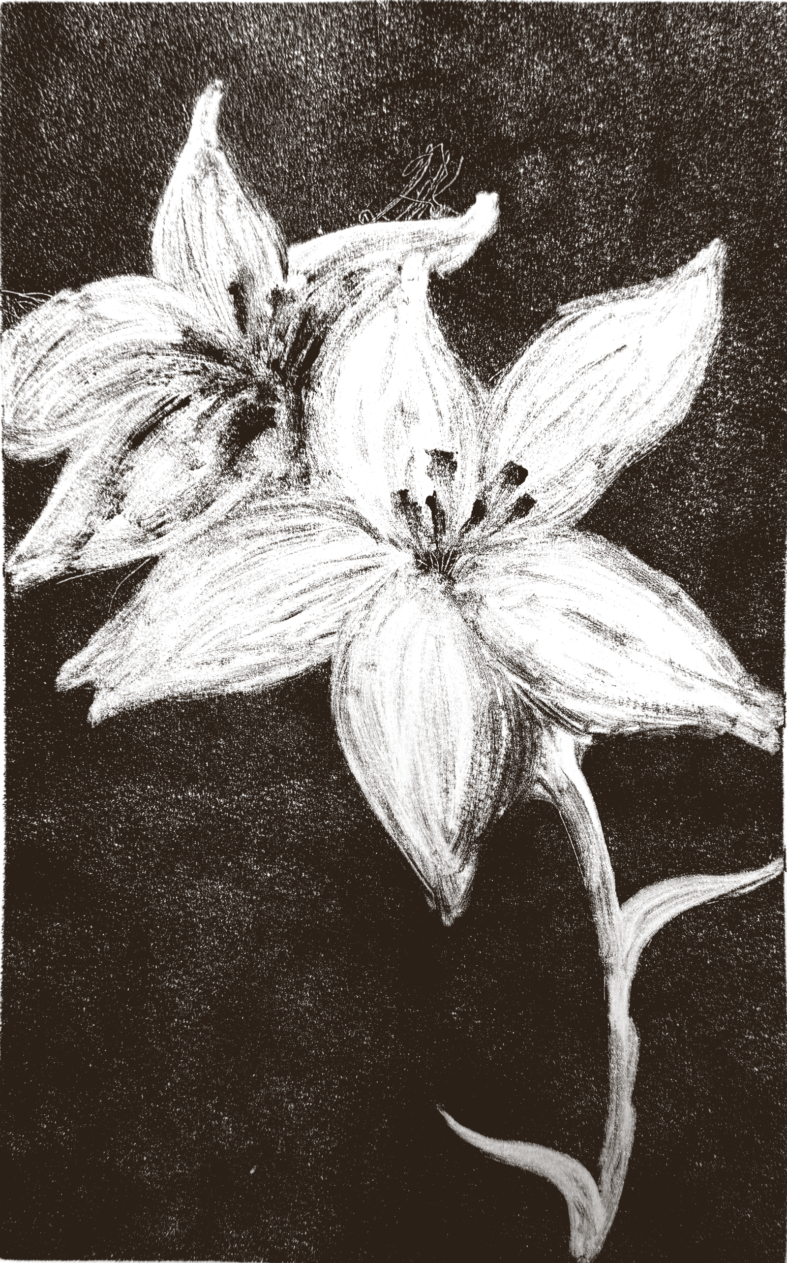 Lilies monotype print